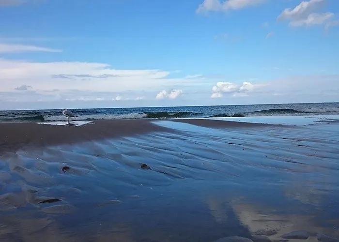 Gasthof Hoff Dom Przy Morzu 3*